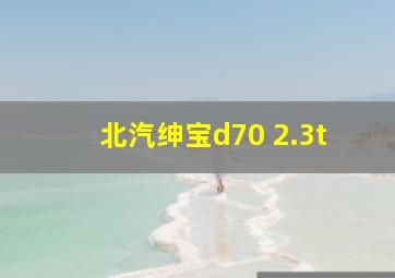 北汽绅宝d70 2.3t